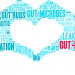 Gut-Brain Axis Word Cloud